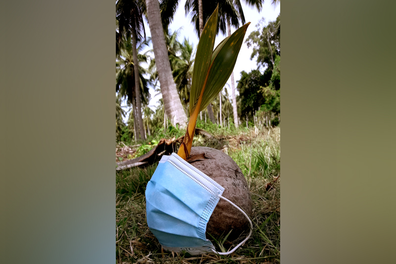 Grow with Safety and security by KP Anura Pathirana, Participant of World Coconut Day 2021 Competition