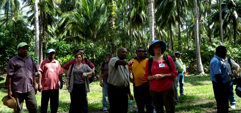 partners-meet-in-papua-new-guinea-to-secure-the-pacific-coconut-genebank-threatened-by-bogia-coconut20210907185831.png