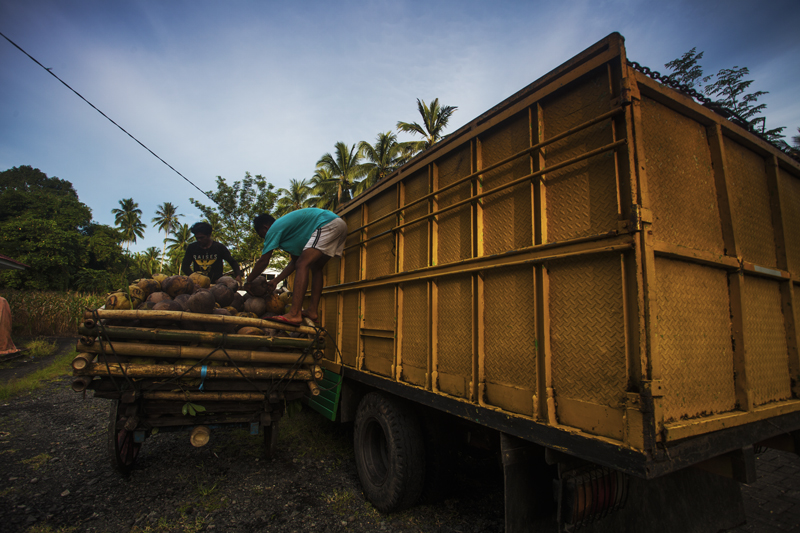 Pay Day by Hendra Chandra, Participant of World Coconut Day 2021 Competition