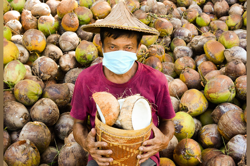 Take time to thank our local farmer every day by Dennyse Diaz, Participant of World Coconut Day 2021 Competition