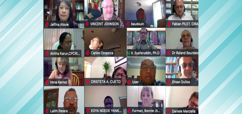 virtual-meeting-of-cogent-steering-committee-and-international-thematic-action-group20211009104208.jpg