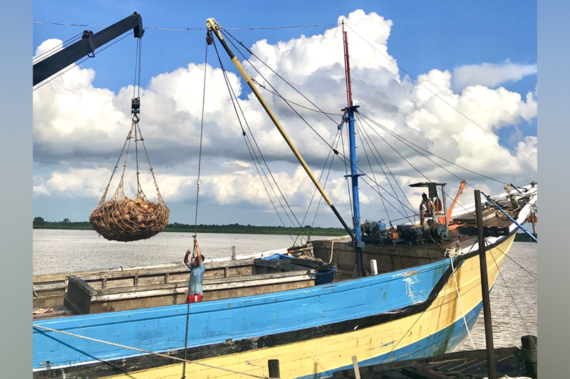Coconut Loading on Ship by Siska Utami, Participant of World Coconut Day 2021 Competition
