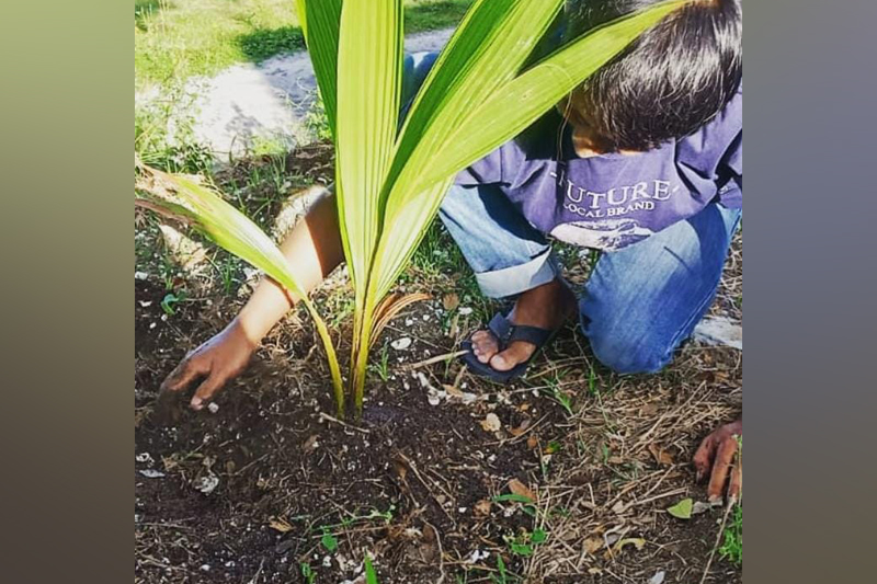 Coconut Planting by Sularto, Participant of World Coconut Day 2021 Competition