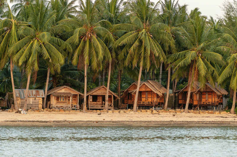 Coconut Trees by the Beach with Wooden Houses