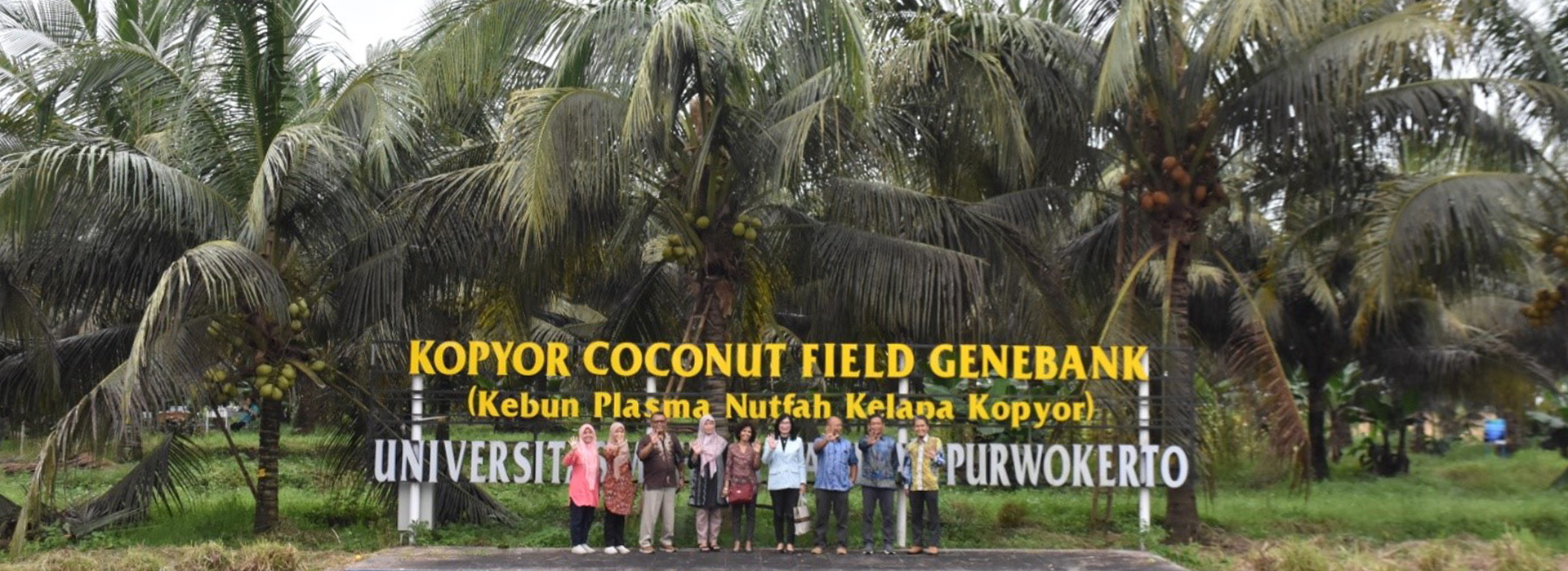 kopyor-coconut-genebank-a-treasure-of-university-of-muhammadiyah-purwokerto20211115144207.jpg
